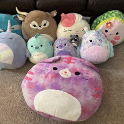 Squishmallow Bundle!