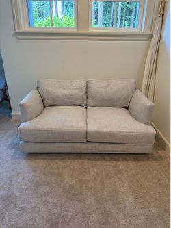 West Elm Haven sofa