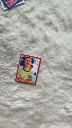 Panini sticker
