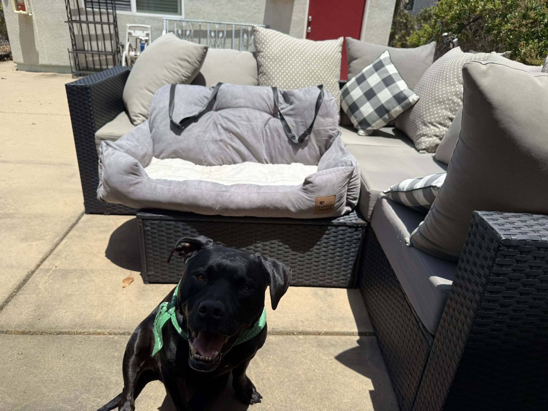 Funny Fuzzy Car Dog Bed