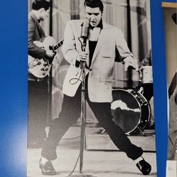 Elvis Canvas Picture Poster