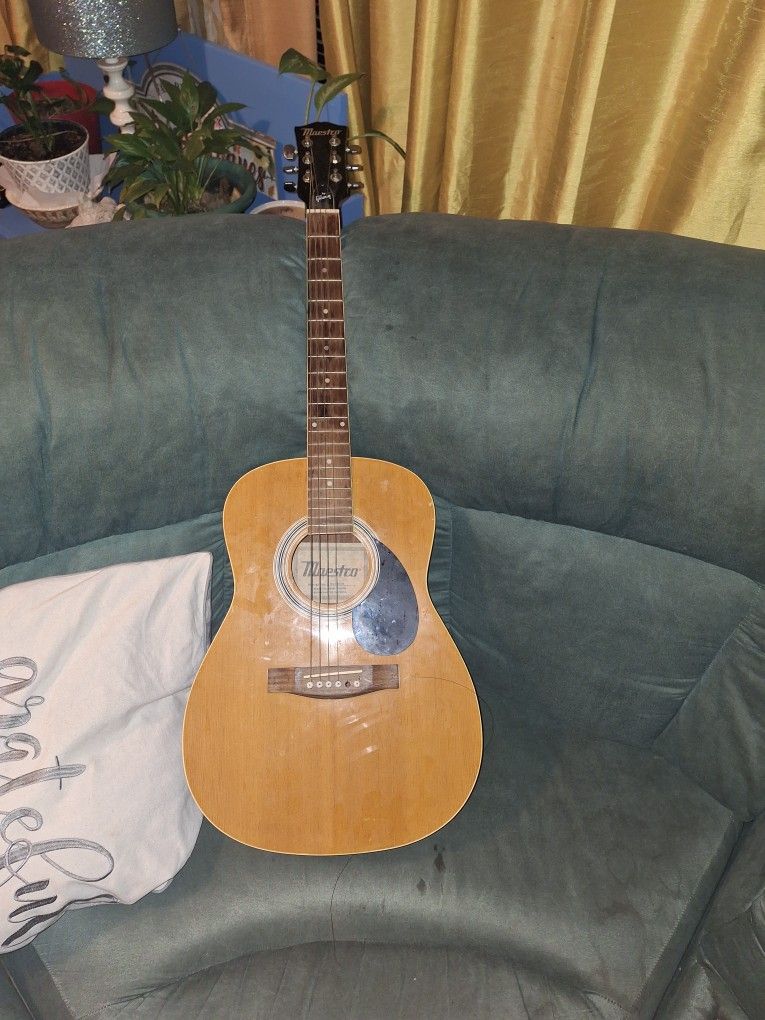 Gibson Guitar