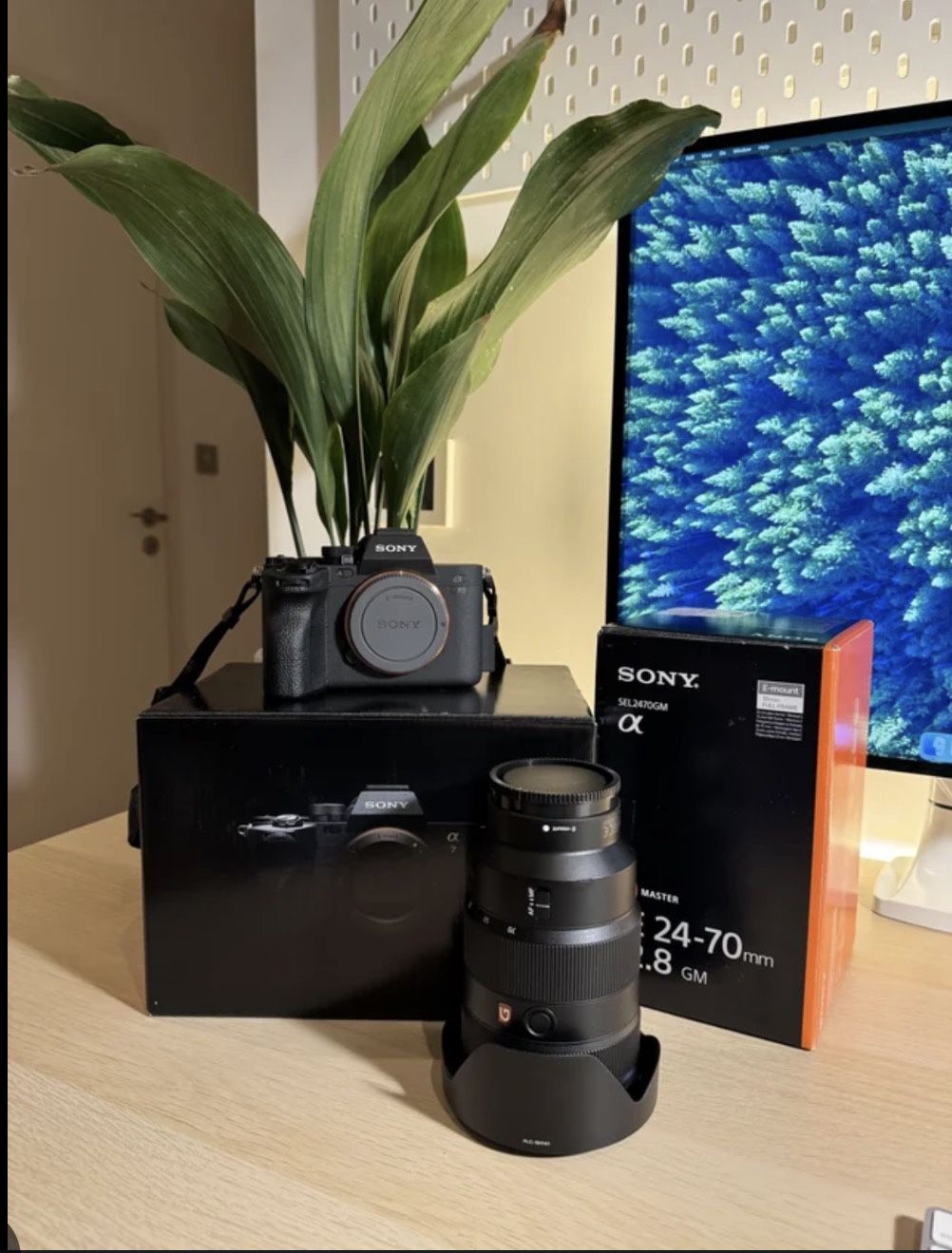 A7 IV With G Master 24-70mm