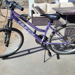 24 Inch Girls Huffy Bike