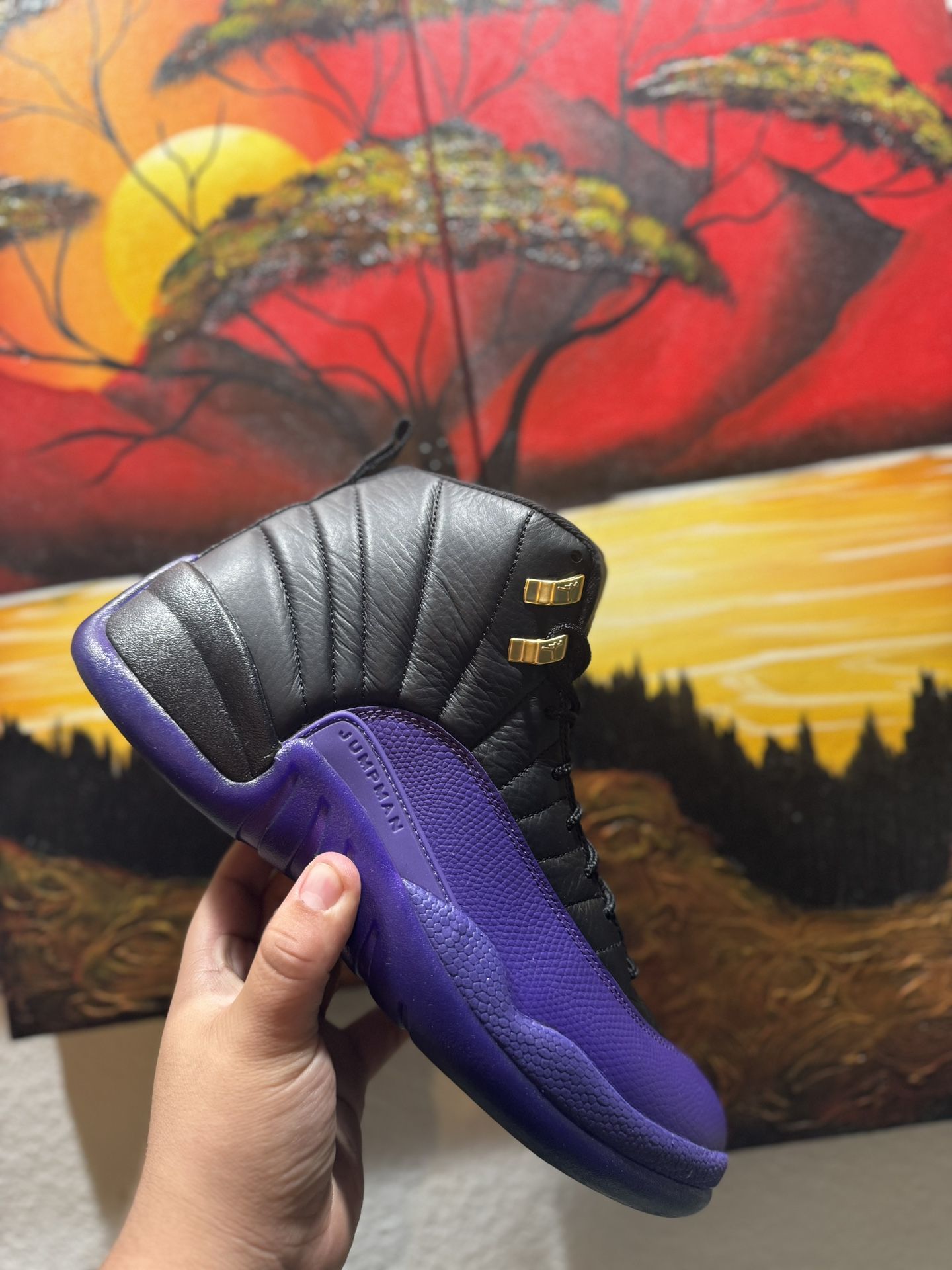 Jordan 12 Field Purple  Size 10