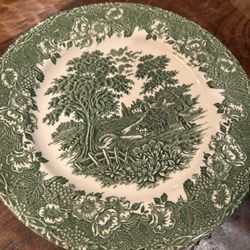 Vintage Green Farmhouse China