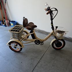 Electric 3 well bike