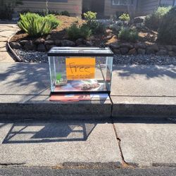 40 Gallon Aquarium Tank And Glass Hood - Free