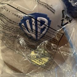 Warner Brothers Looney Tunes New Era