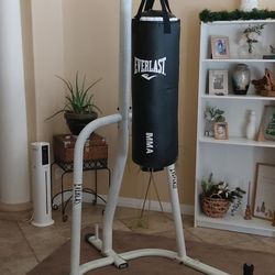 Everlast MMA Training Bag & Frame 
