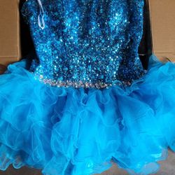 Blue Party Dress Tutu Halloween 