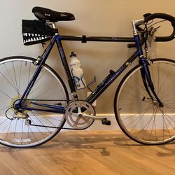 Trek ZX 2100 Carbon Road Bike