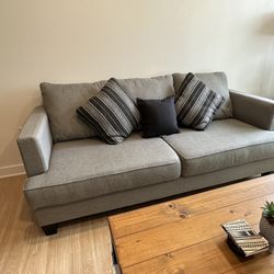 Grey Modern Century Living Room Couch