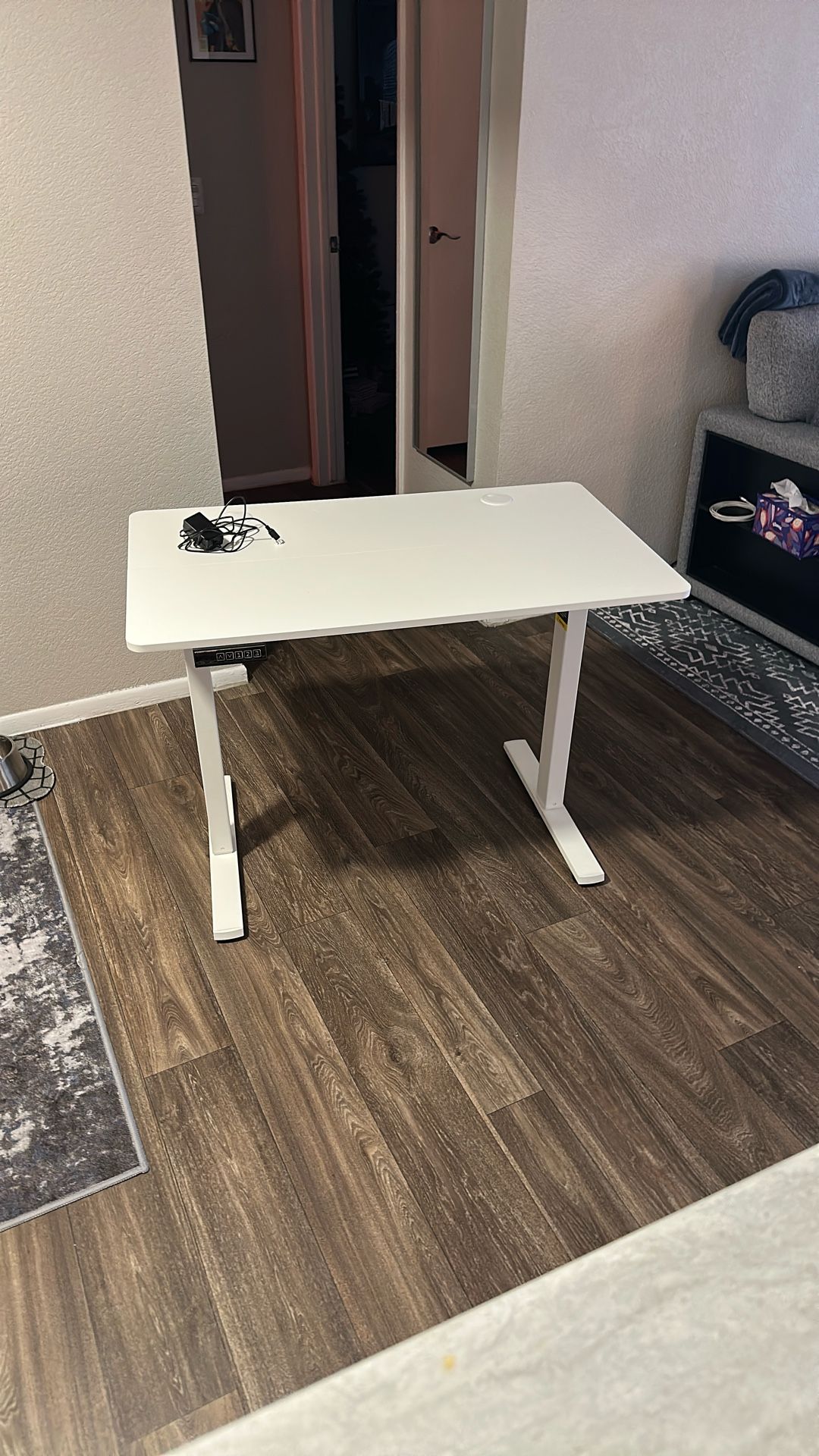 Electric Adjustable Standing Desk