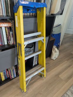 Werner Ladder 4 ft