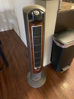Fan