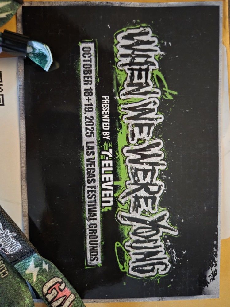 When We Were Young Wristbands - Saturday