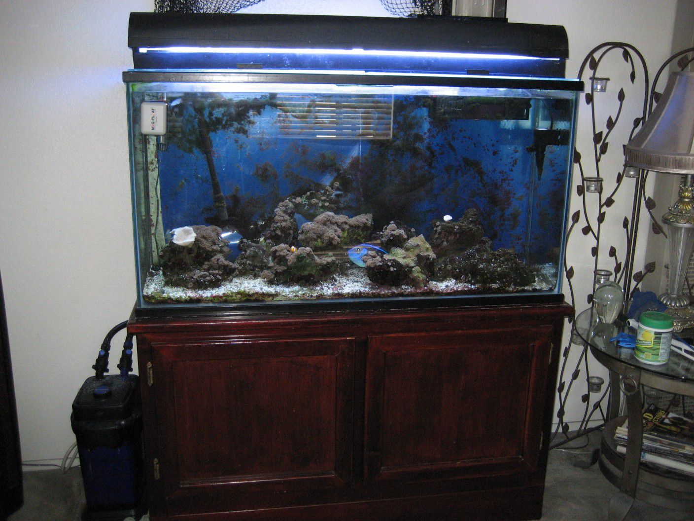 90 gal aquarium complete setup