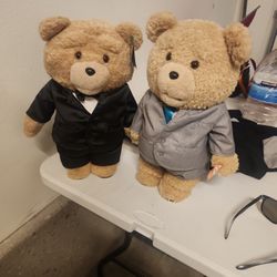 Ted Stuffed Animals