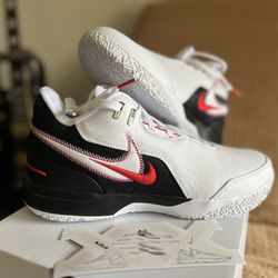 Brand New Men’s size 11 Nike LeBron NXXT Gen Amps