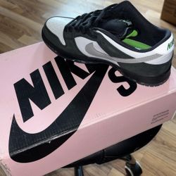 Nike SB (Brand New)