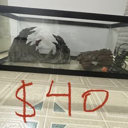 20 Gallon Aquarium Long