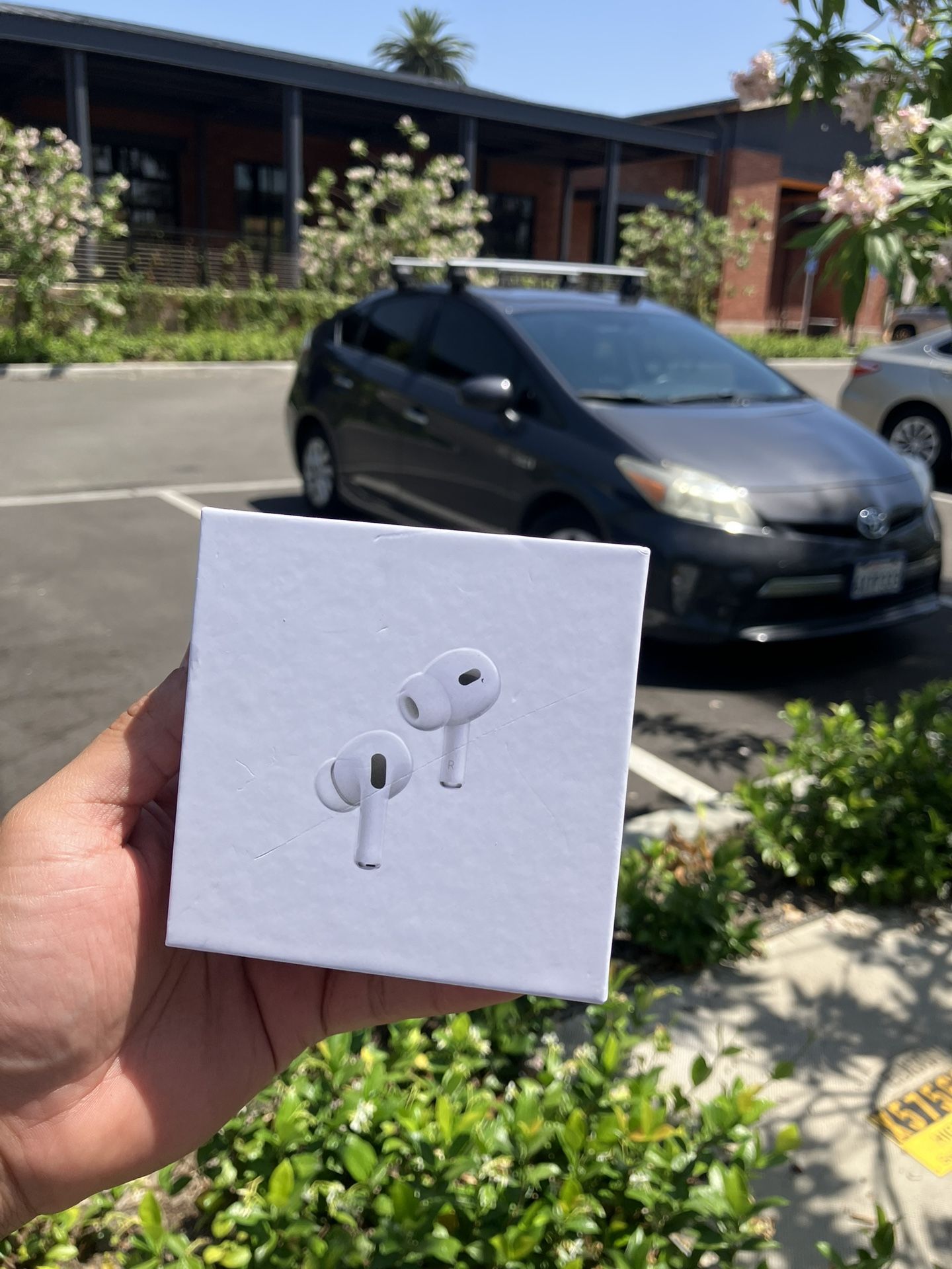 Apple Pro 2