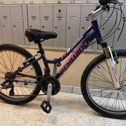 SCHWINN RANGER (YOUNG KIDS BIKE)…