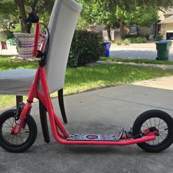 Razor Kick Scooter