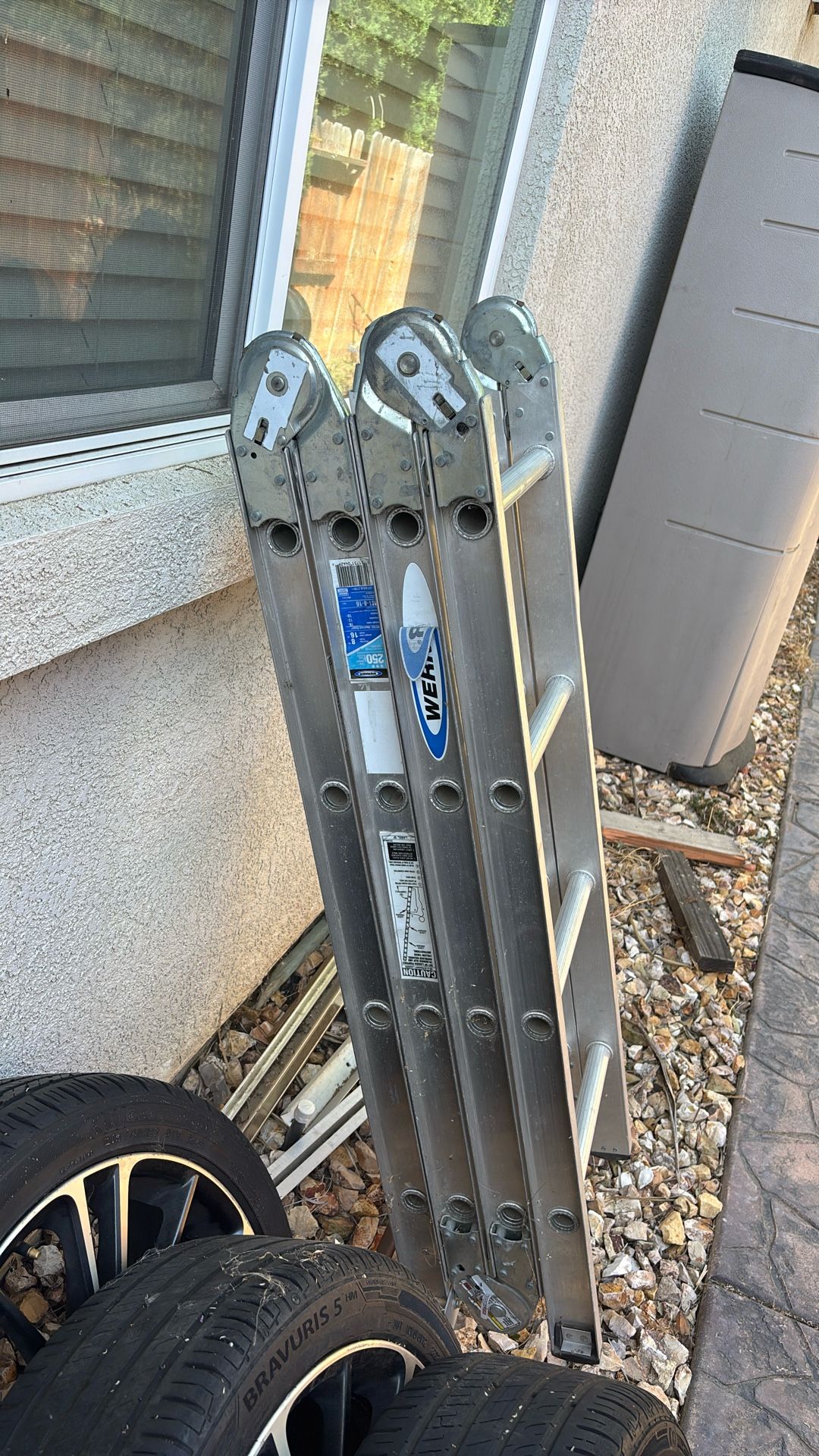 Folding Ladder
