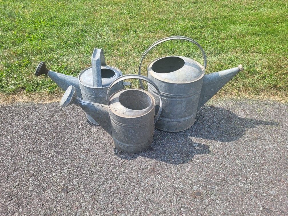 Vintage Galvanized Watering Cans