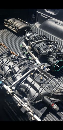 Nnbs intakes