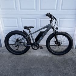 Napune Aquila Electric Bike
