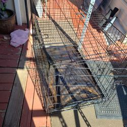 Dog Cage 