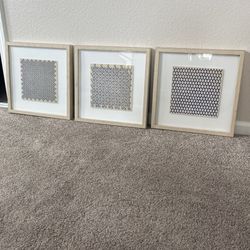 Set Of 3 Magnolia Framed Prints