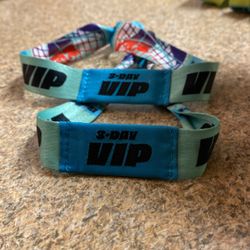 3- Day VIP SUNDAY PORTION