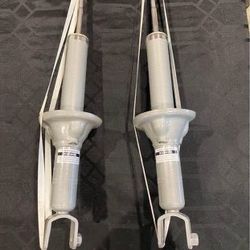 Rear Struts For Acura 97 99 SENSEN 3(contact info removed)