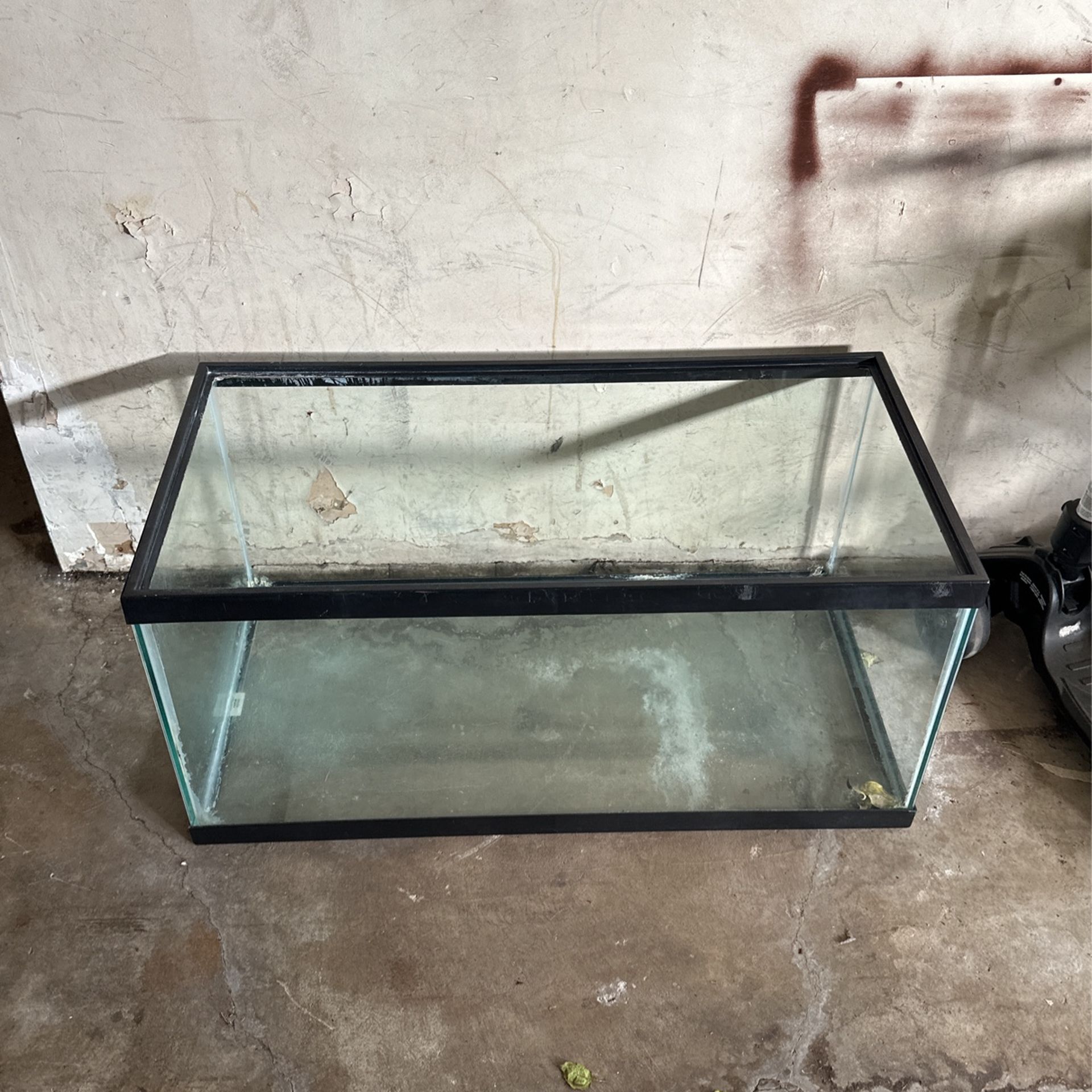 Fish Tank