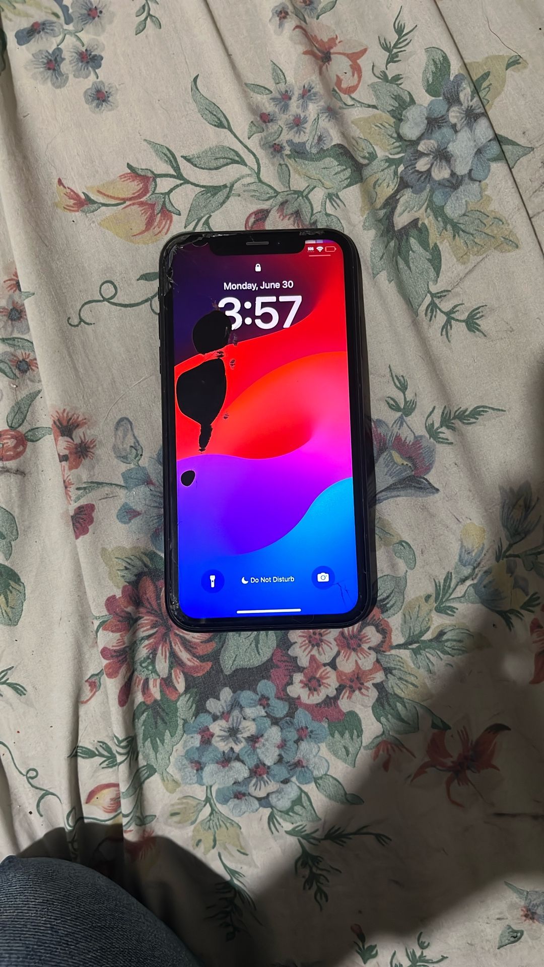 iPhone XR