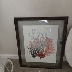 Coral Art With Wood Frame