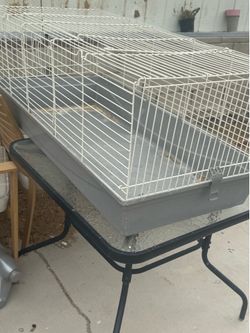 Cage guinea pig