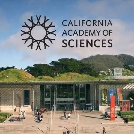 Academy Of Science Sf