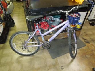 Used Dynacraft Magna Great Divide 21 Sp Mountain Bike in Purple ( Read the Description)