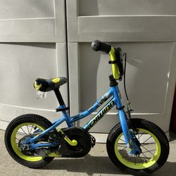 Kids Schwinn Bike 