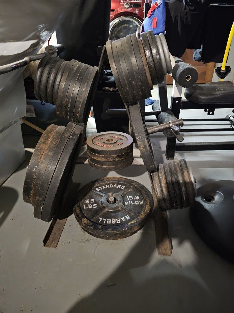 Standard Barbell Weights