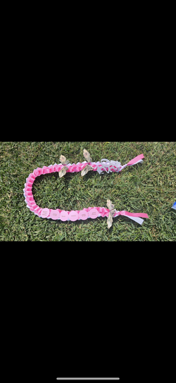 Money Graduation leis custom