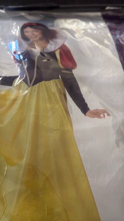 Snow white costume