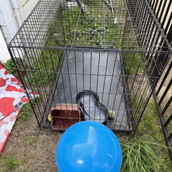 Large Dog Crate / Cage w Tray 2.5 ft tall 4 ft long