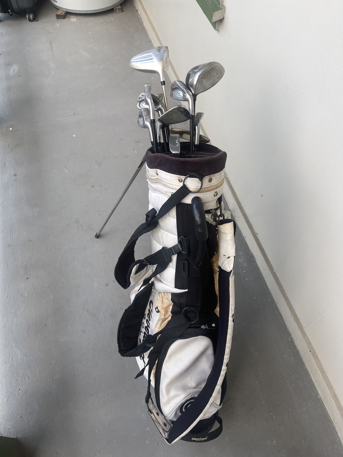 Golf clubs with bag