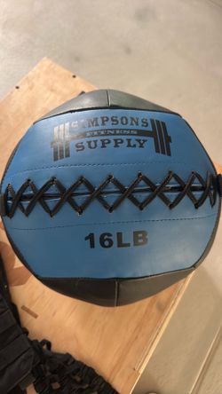 16 lb wall ball